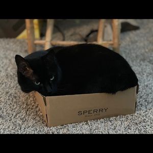 Meet your Posher, Chris